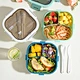 plastic bento boxes
